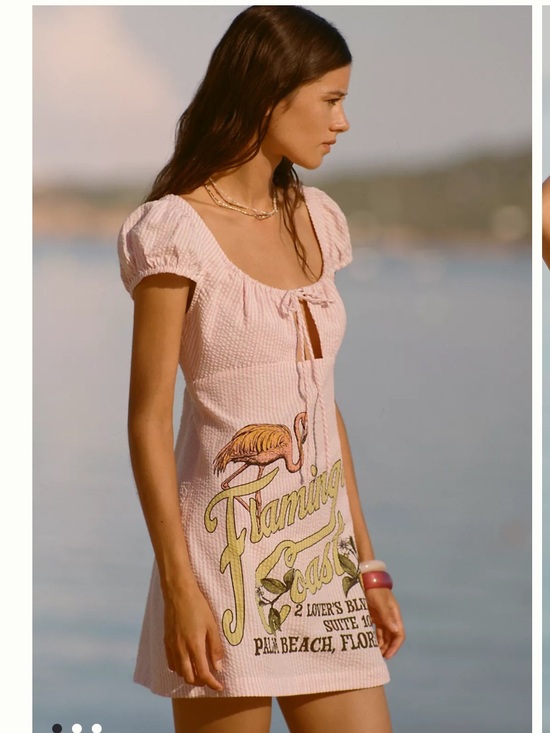 Anthropologie Dresses & Skirts - ANTHROPOLOGIE CELANDINE SCOOP-NECK FRONT TIE MINI
DRESS
